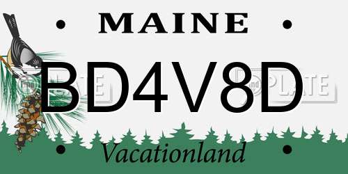 BD4V8D Maine License Plate