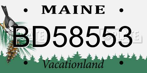 BD58553 Maine License Plate