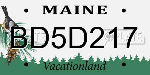 BD5D217 Maine License Plate