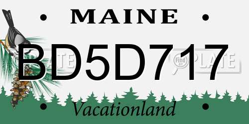 BD5D717 Maine License Plate