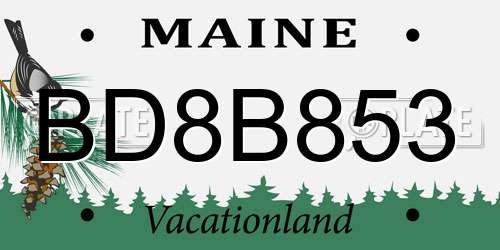 BD8B853 Maine License Plate