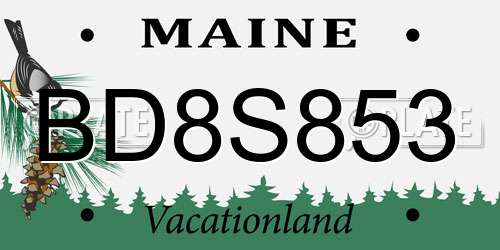 BD8S853 Maine License Plate