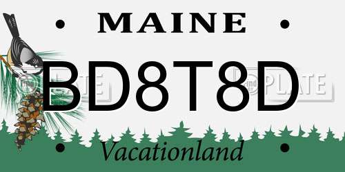 BD8T8D Maine License Plate