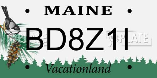BD8Z1I Maine License Plate