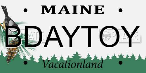 BDAYTOY Maine License Plate