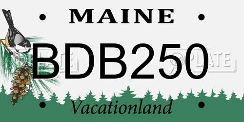 BDB250 Maine License Plate