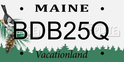 BDB25Q Maine License Plate