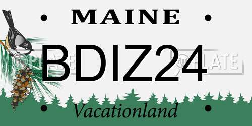 BDIZ24 Maine License Plate