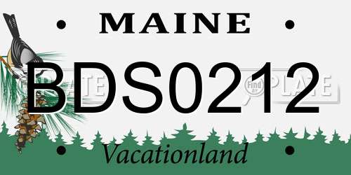 BDS0212 Maine License Plate