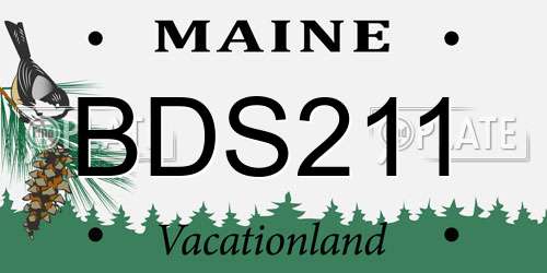 BDS211 Maine License Plate