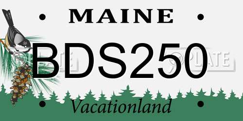 BDS250 Maine License Plate