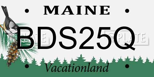 BDS25Q Maine License Plate