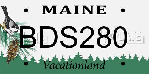 BDS280 Maine License Plate