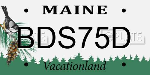 BDS75D Maine License Plate