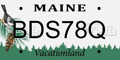 BDS78Q Maine License Plate