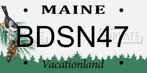 BDSN47 Maine License Plate