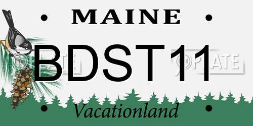 BDST11 Maine License Plate