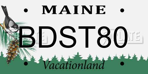 BDST80 Maine License Plate