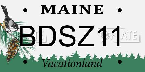 BDSZ11 Maine License Plate
