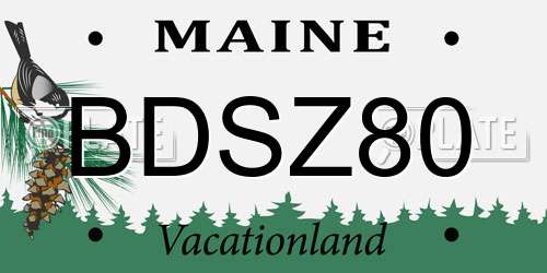 BDSZ80 Maine License Plate