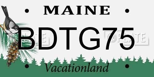 BDTG75 Maine License Plate