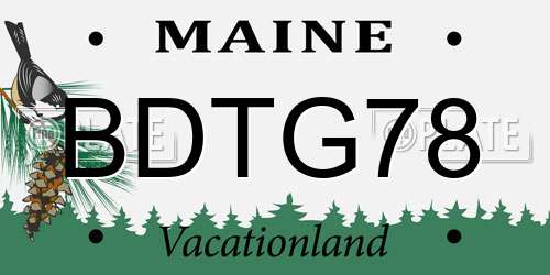 BDTG78 Maine License Plate