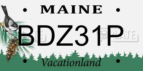 BDZ31P Maine License Plate