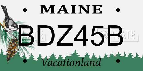 BDZ45B Maine License Plate