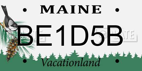 BE1D5B Maine License Plate