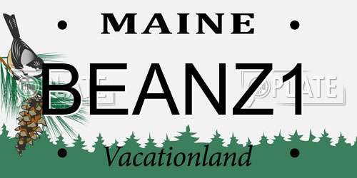BEANZ1 Maine License Plate