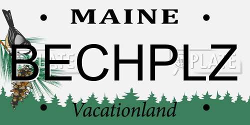 BECHPLZ Maine License Plate