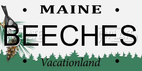 BEECHES Maine License Plate