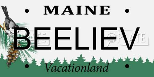 BEELIEV Maine License Plate