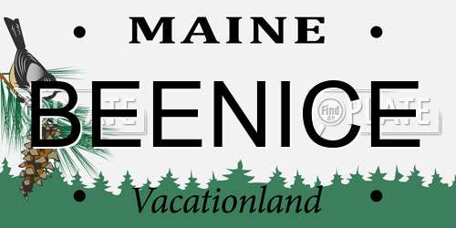 BEENICE Maine License Plate