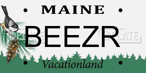 BEEZR Maine License Plate