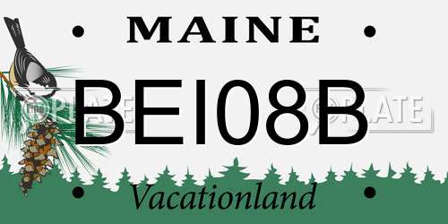 BEI08B Maine License Plate