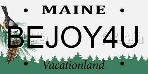 BEJOY4U Maine License Plate