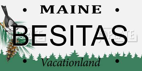BESITAS Maine License Plate