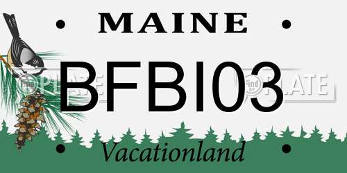 BFBI03 Maine License Plate