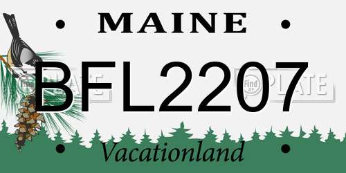 BFL2207 Maine License Plate