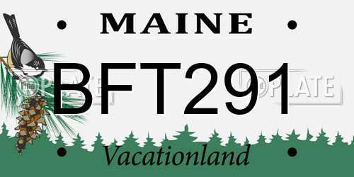 BFT291 Maine License Plate
