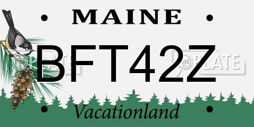 BFT42Z Maine License Plate