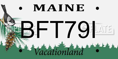 BFT79I Maine License Plate