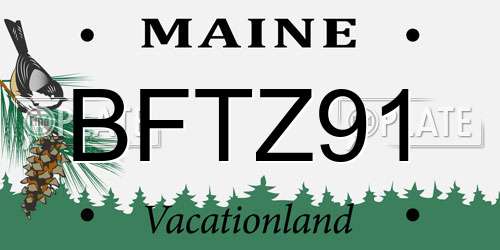 BFTZ91 Maine License Plate