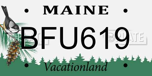 BFU619 Maine License Plate