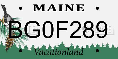BG0F289 Maine License Plate
