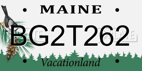 BG2T262 Maine License Plate