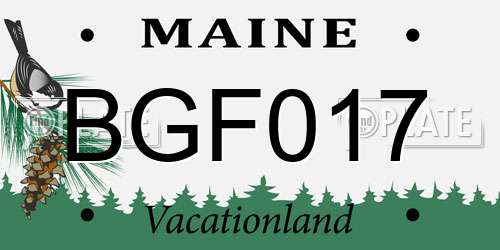 BGF017 Maine License Plate