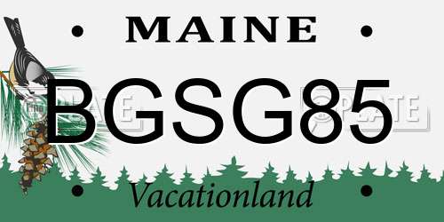 BGSG85 Maine License Plate