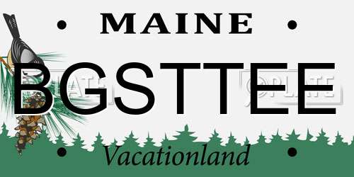 BGSTTEE Maine License Plate
